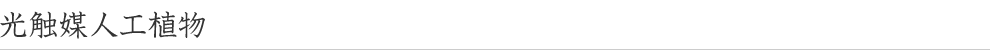 光触媒人工植物