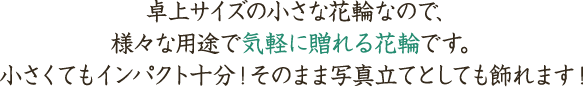 卓上サイズの小さな花輪なので、様々な用途で気軽に贈れる花輪です。小さくてもインパクト十分!そのまま写真立てとしても飾れます!